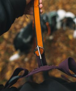 Non-stop dogwear Trekking belt 2.0, unisex, purple, S, single
