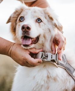Non-stop dogwear Trekking line harness CLIP'N™, unisex, ice blue, 1, single