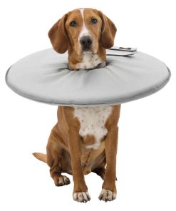 Sårkrage Polyester/Skum L 46-49cm/24cm Grå