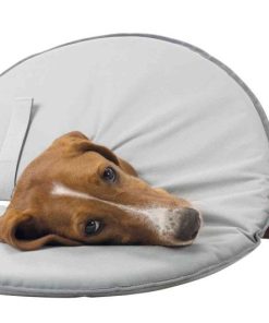 Sårkrage Polyester/Skum XS 23-27cm/13cm Grå