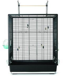 Savic Primo 60 Open Empire Knock Down, svart