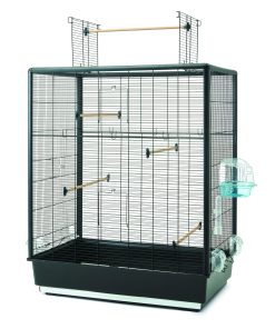 Savic Primo 60 Open Empire Knock Down, svart