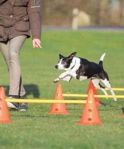 Trixie Agility Hinder Inneholder 6 Kjegler Ø23x30cm 3 Stenger 78cm