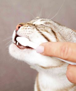 Trixie Dental hygienesett til katt